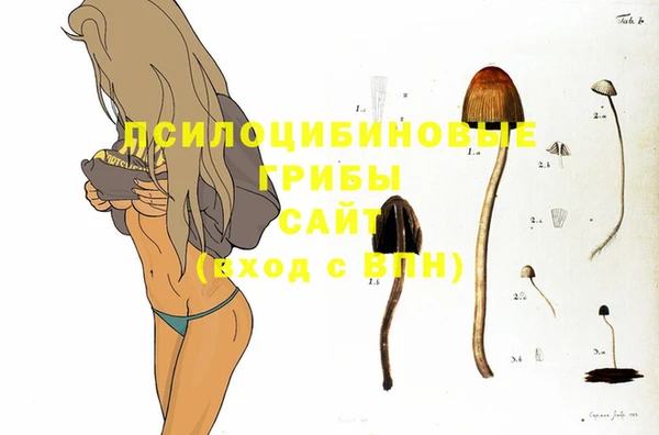 молекула духа Армянск