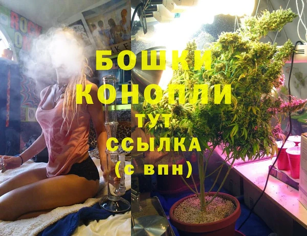 СК Аркадак