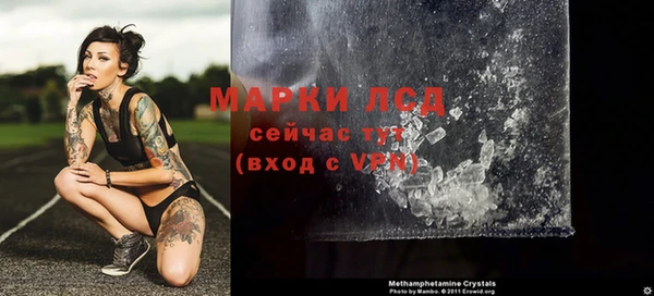 СК Аркадак