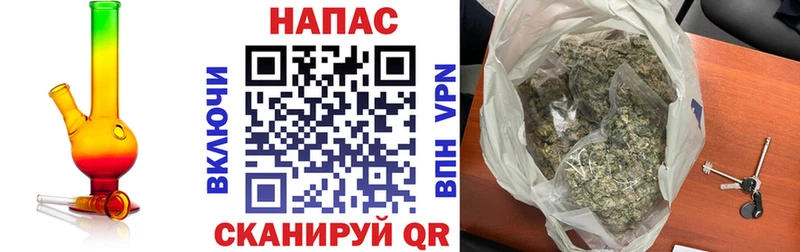 Бошки марихуана семена  площадка наркотические препараты  Ростов  где продают наркотики  гидра tor 